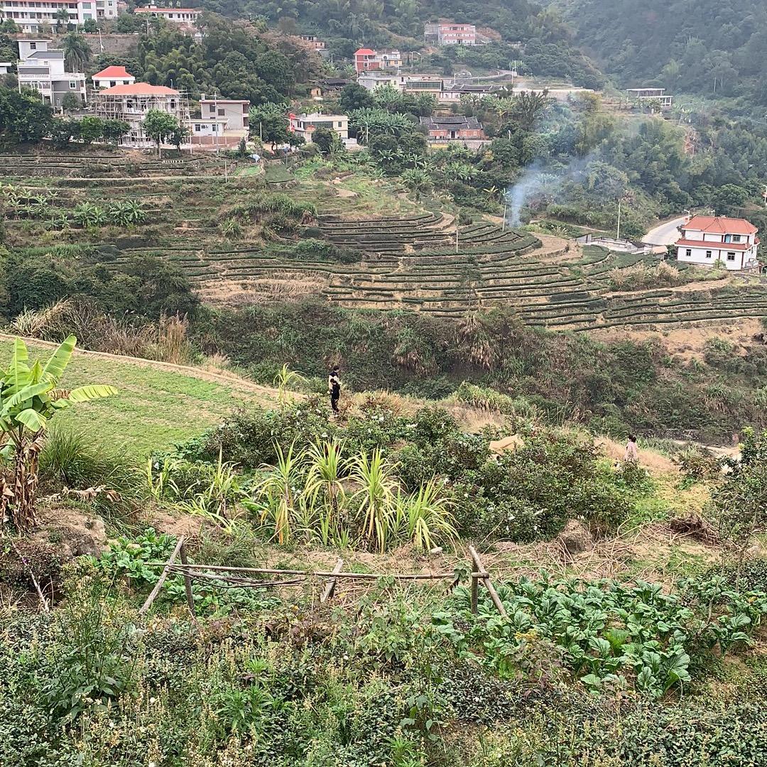 珊珊