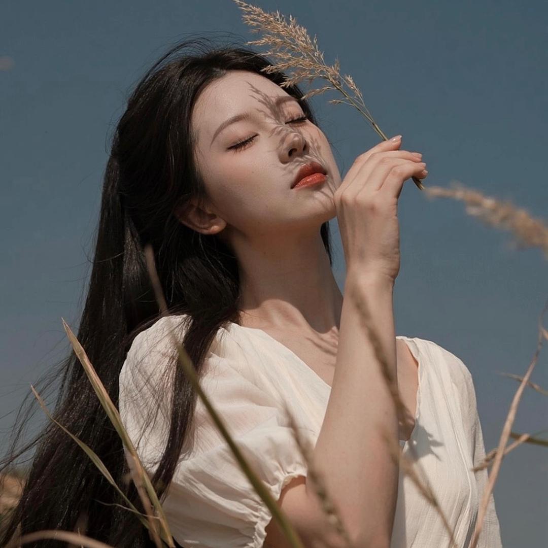 李李李李什么李