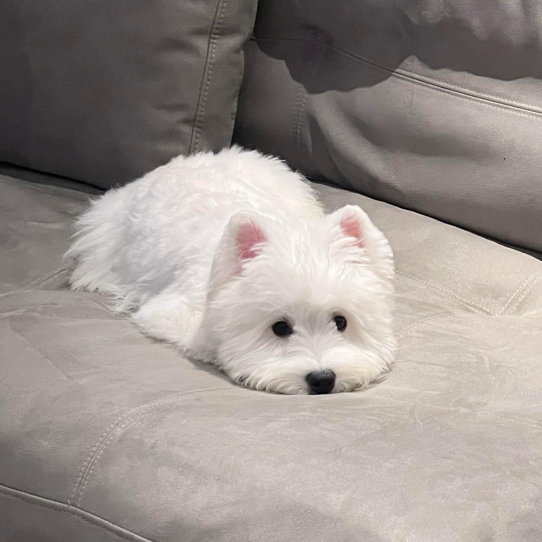 下周见