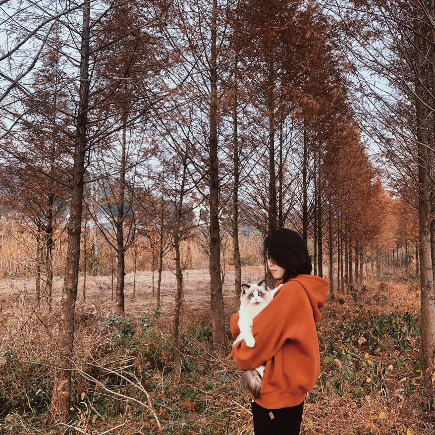 高记蒲蒲烤冷面