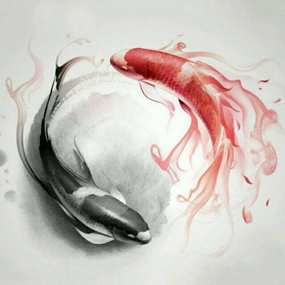 小鱼小鱼吃虾米