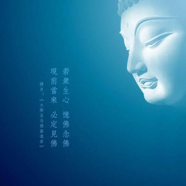 @金茯苓🪷🪷（༺ཌༀ飛龍阁ༀད༻）