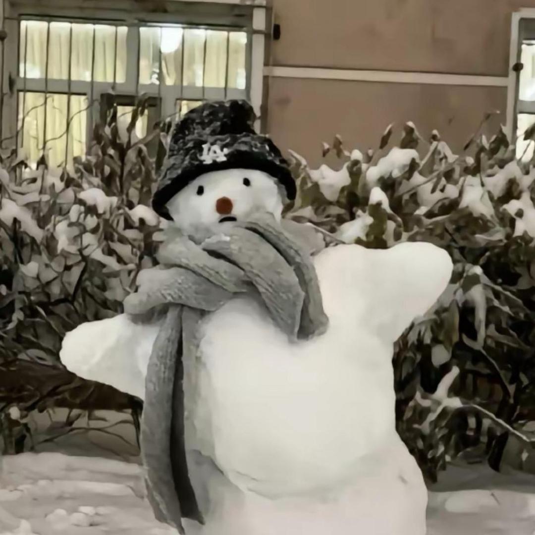雪人游戏（已倒下）🤡