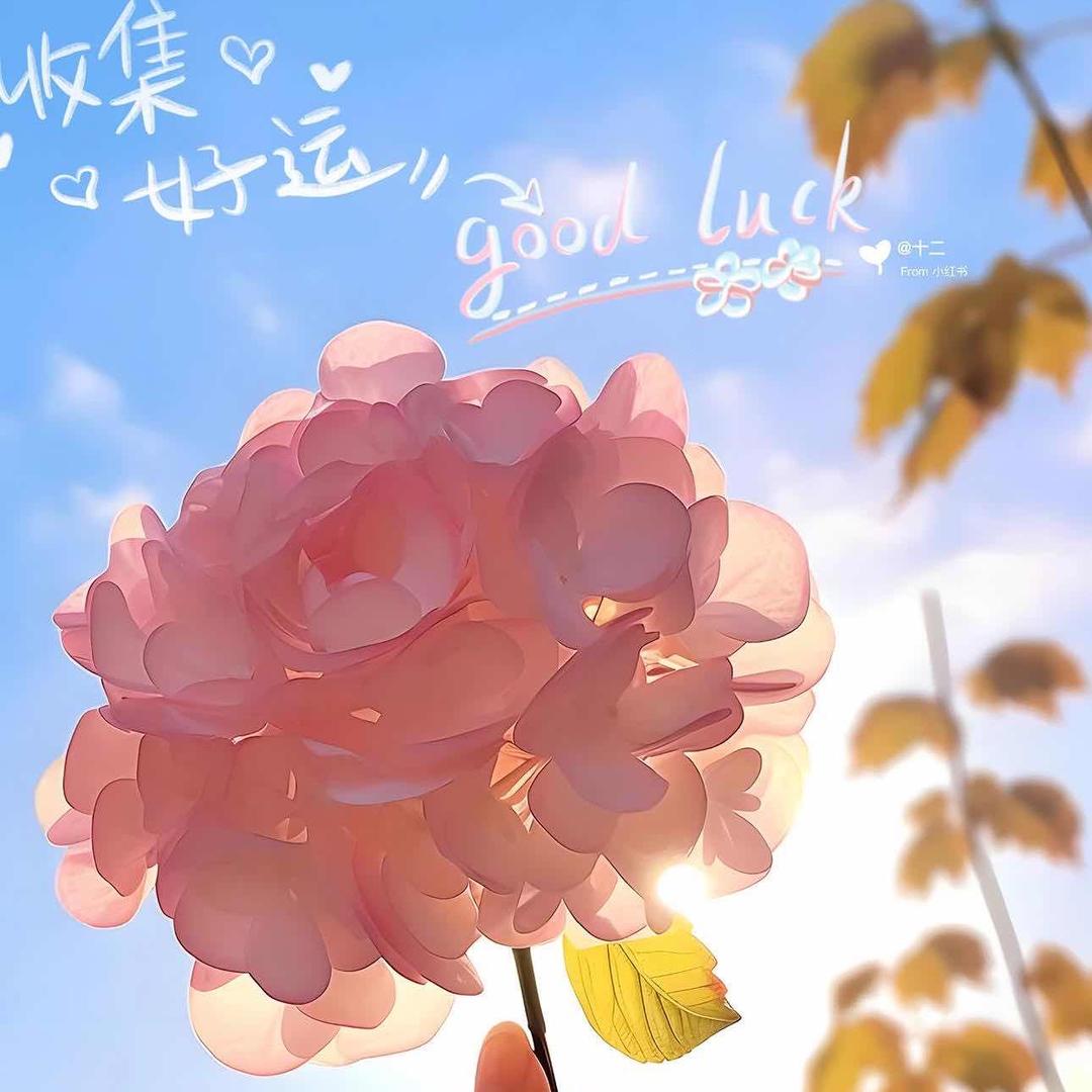 一朵小蘑菇