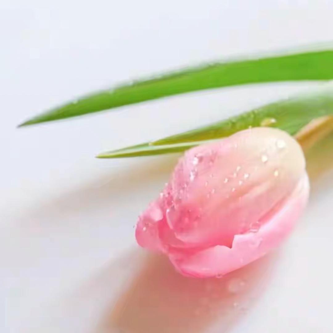 柒安～
