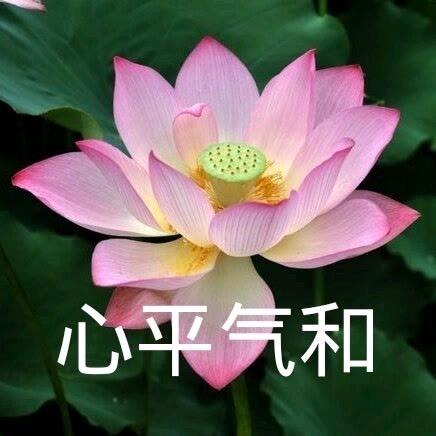 还是要心平气和