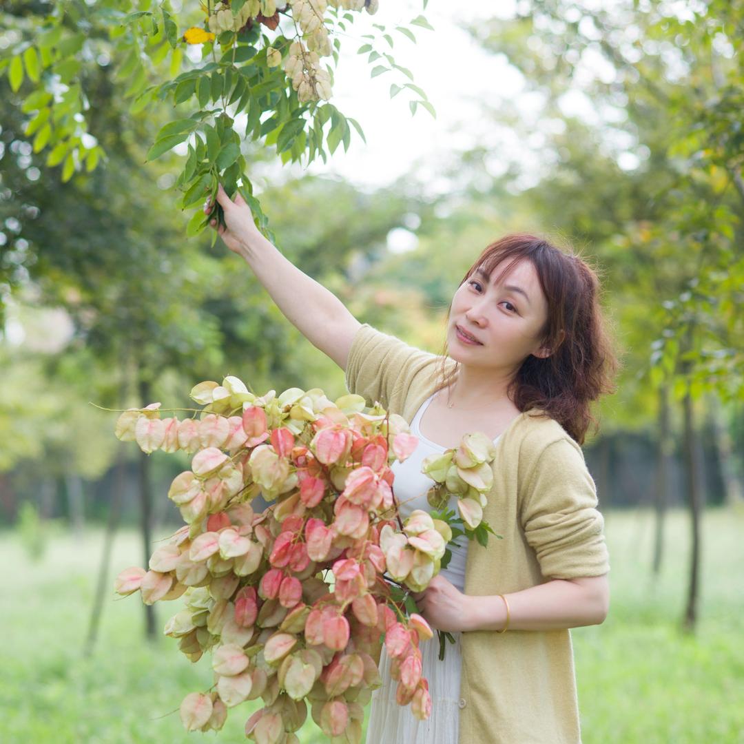 迷糊兔的鱼缸与毛线🧶