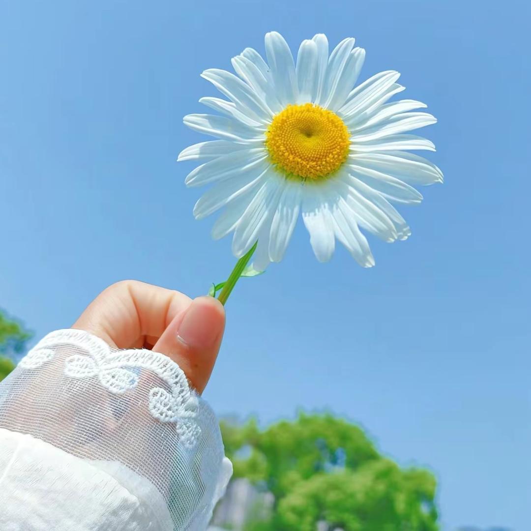 空白格
