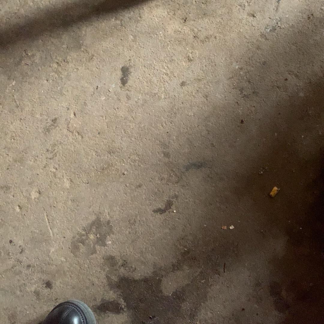 梓轩爷爷