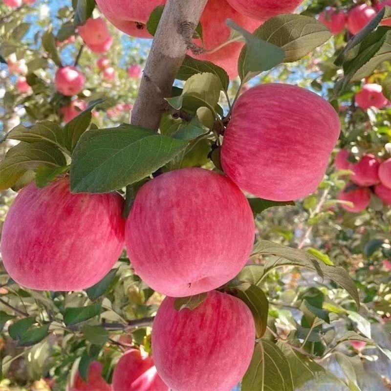 吉县壶口综合好物小铺