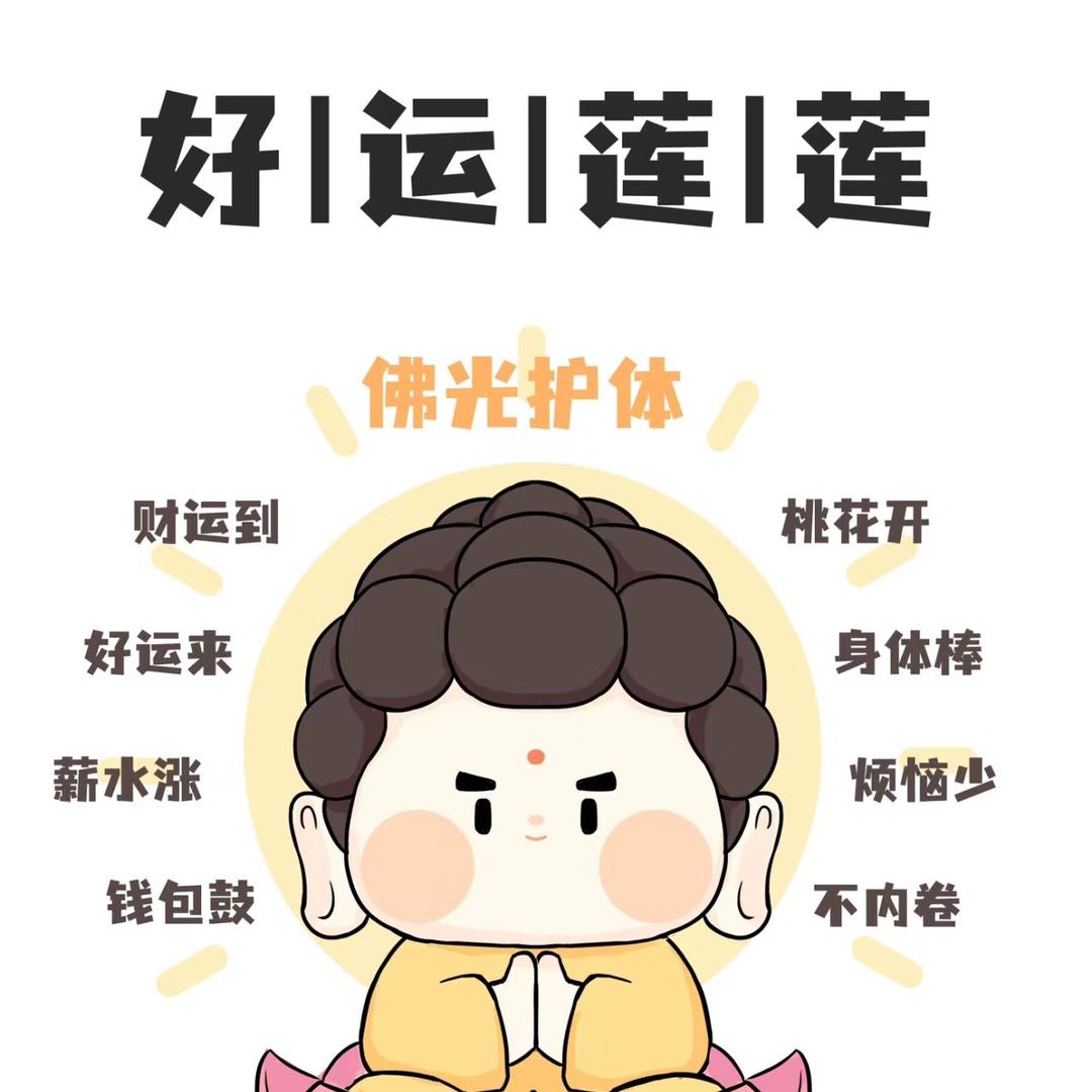 蘄城的雪绒花