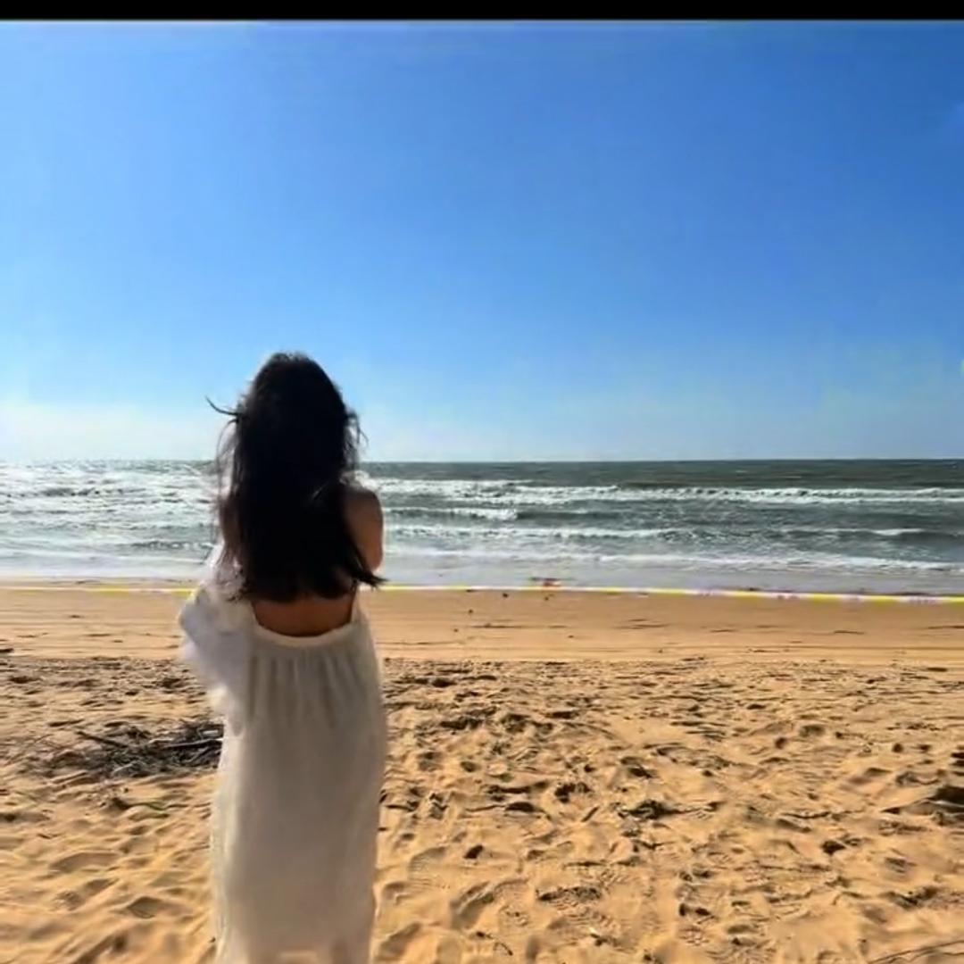 陈情上的穗儿🌾🌾🌾🌾