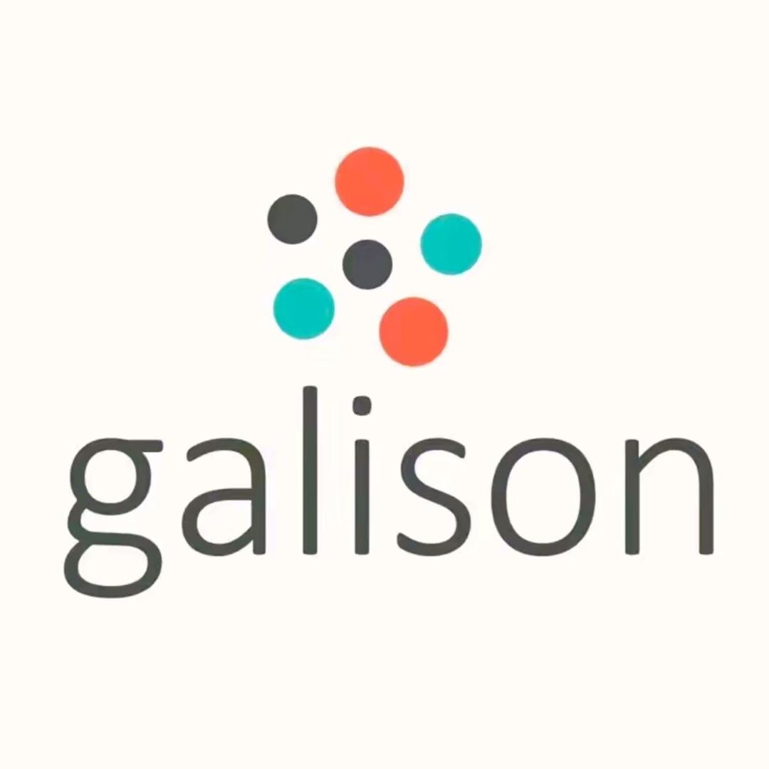 Galison冬灯专店