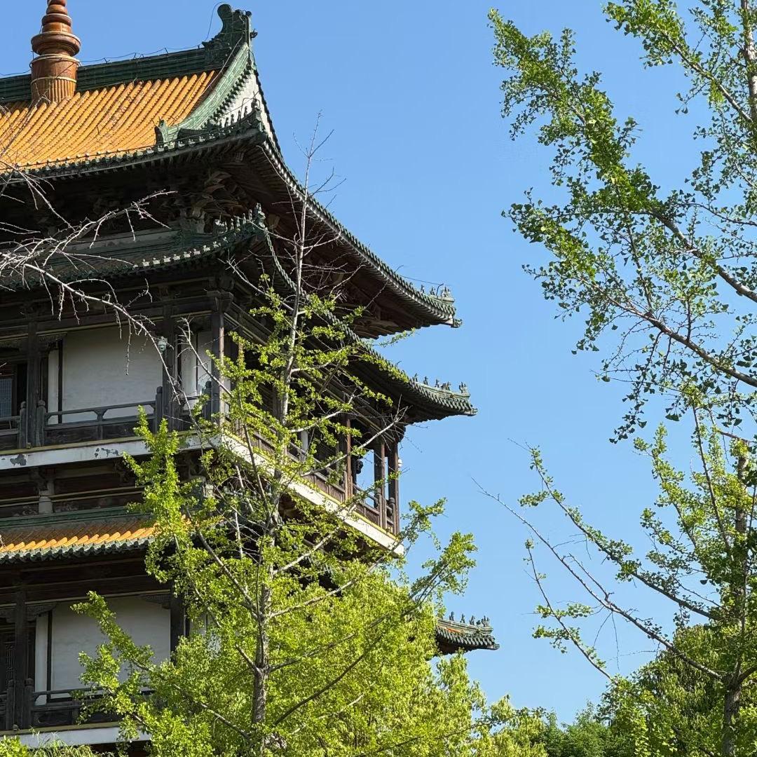 阿建| 🎬