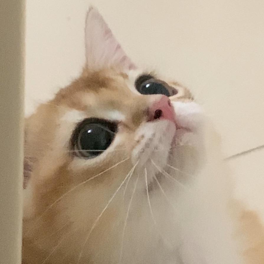 一月末
