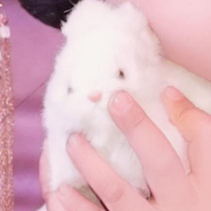 高溪