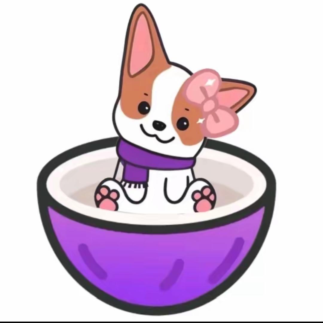 文子宝贝