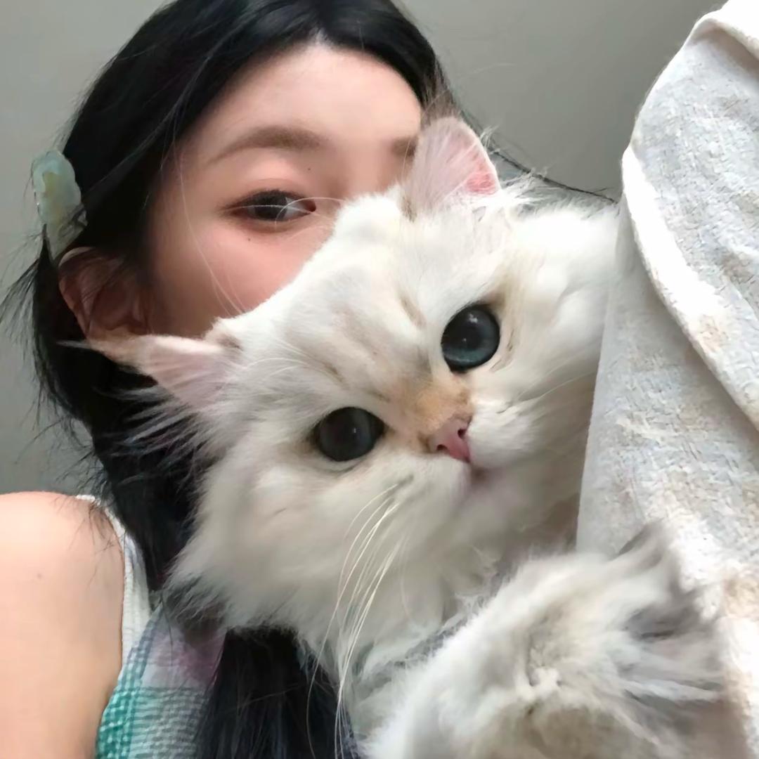 每天都好困💤