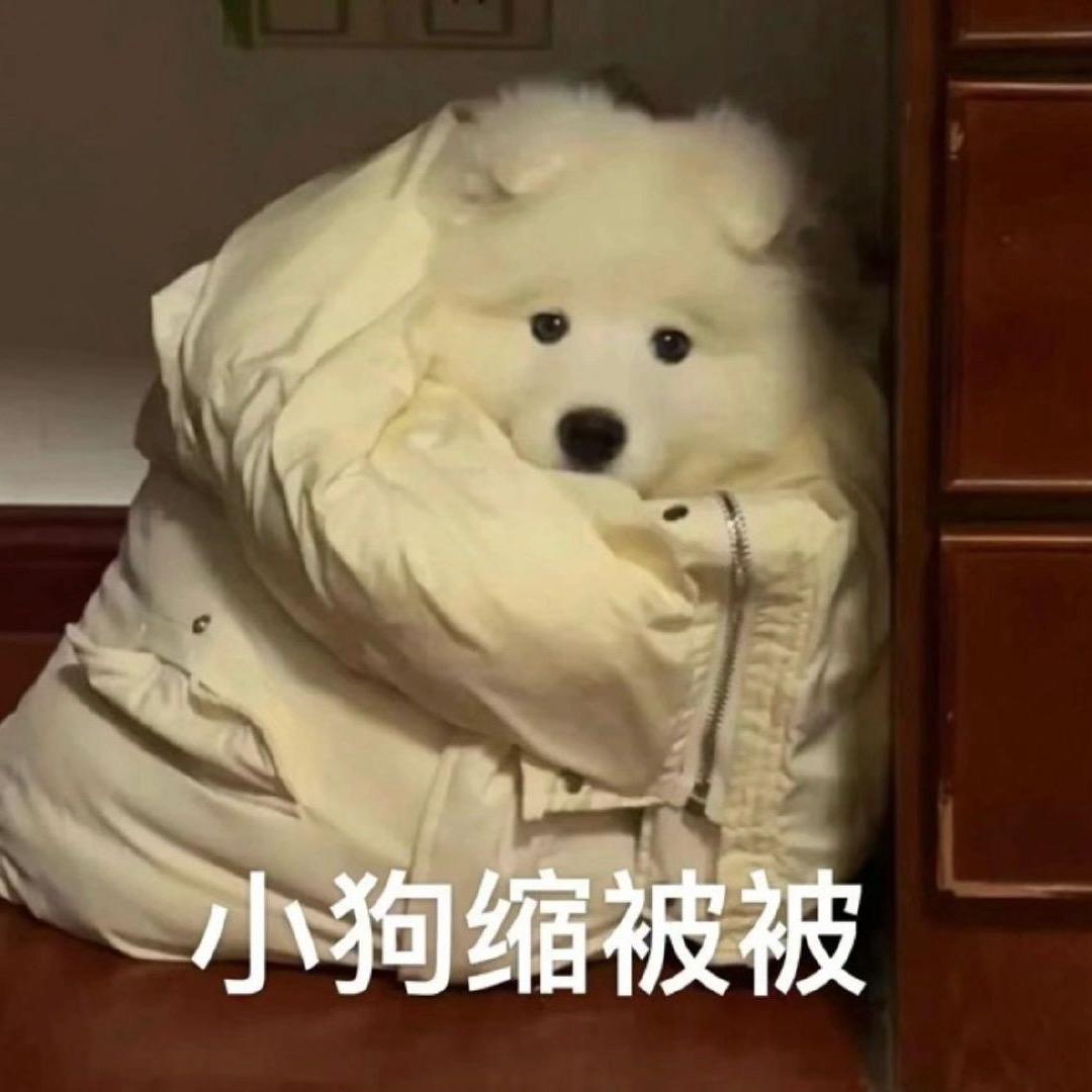 爱打游戏的小孩