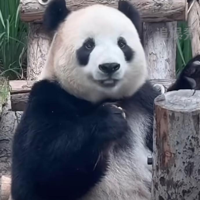 淘九润内蒙古特产供销社