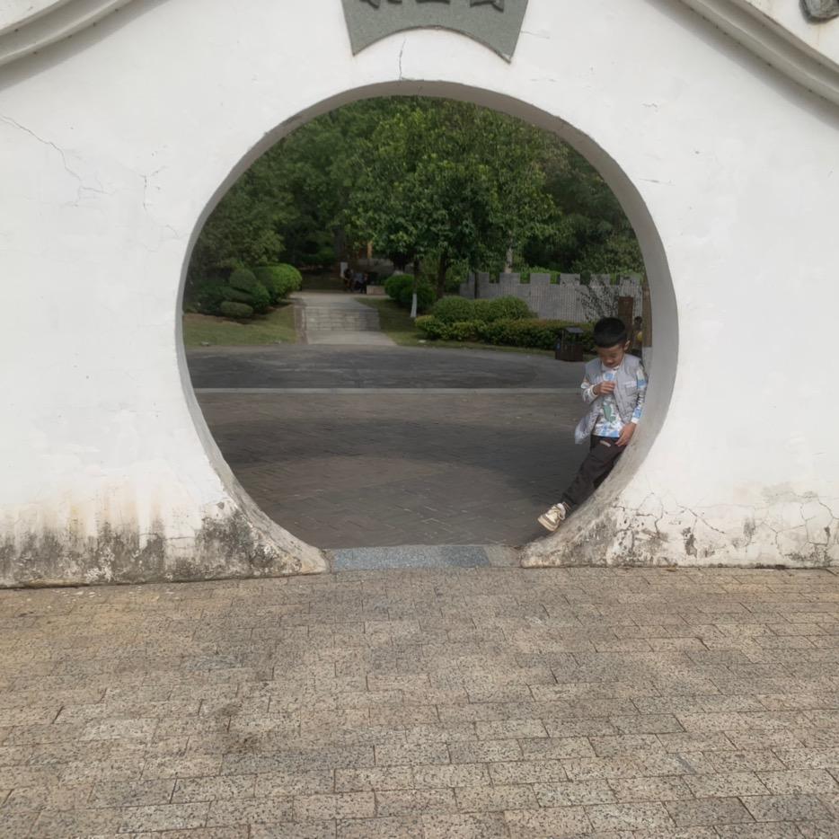 鼎元年六堡茶