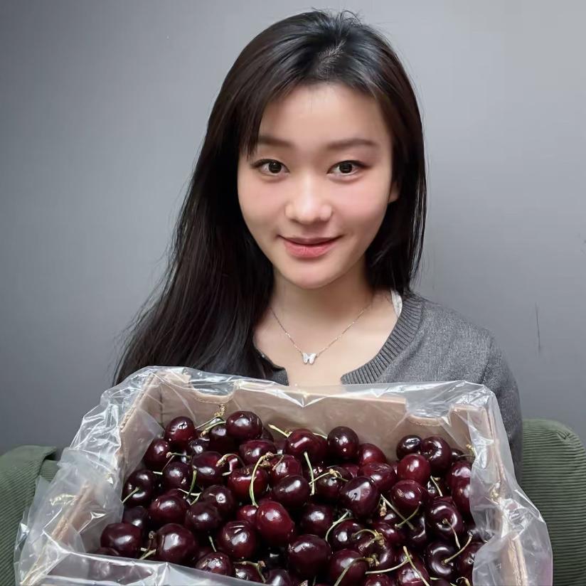 帝小二官方旗舰店