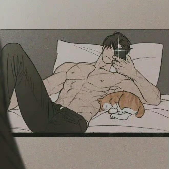 宋善