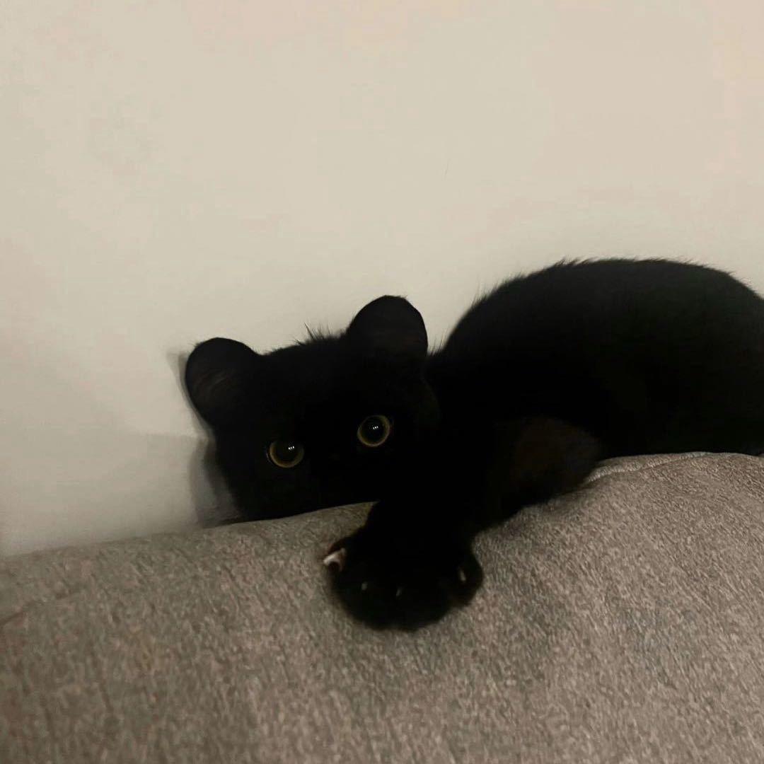 -.