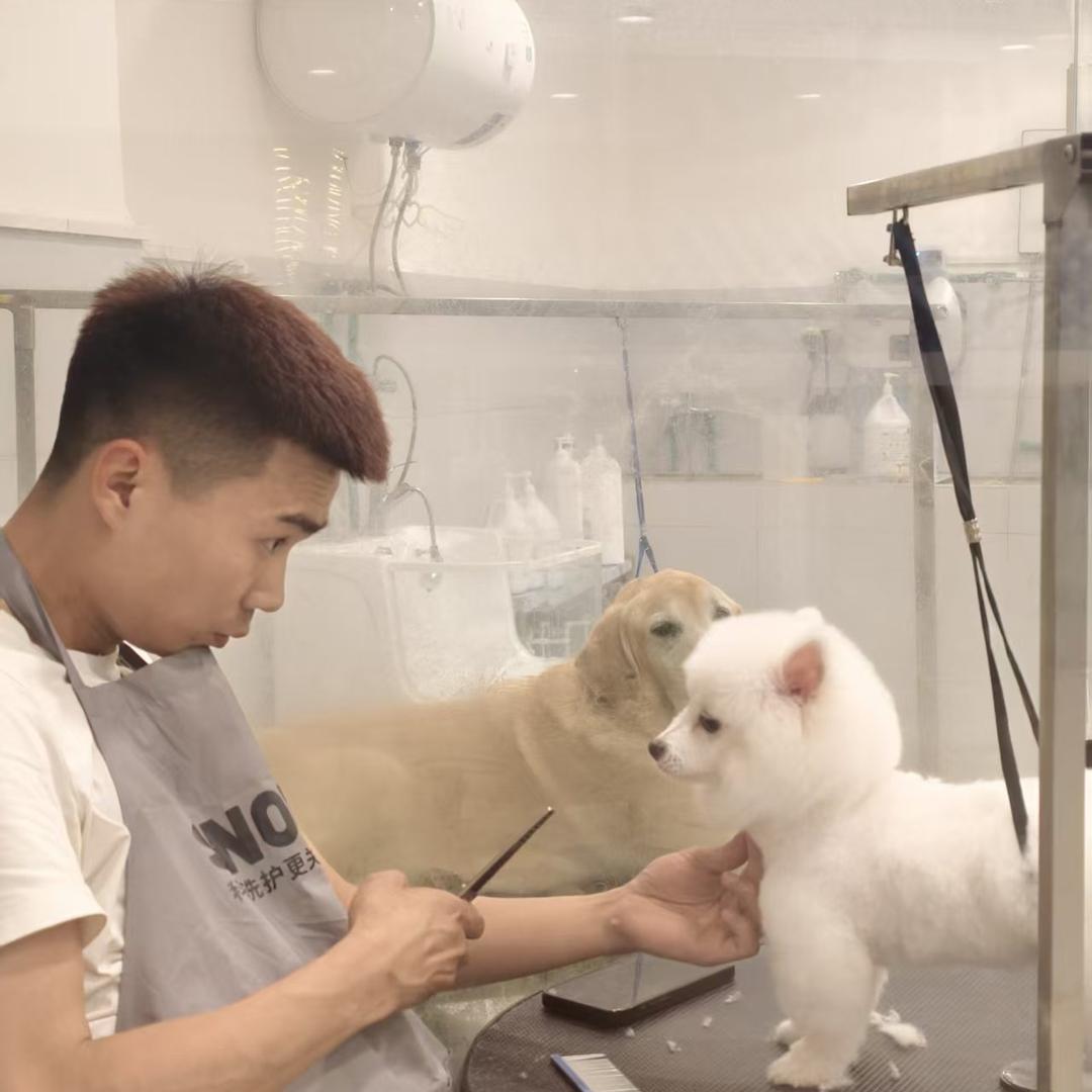 名扬宠物俱乐部