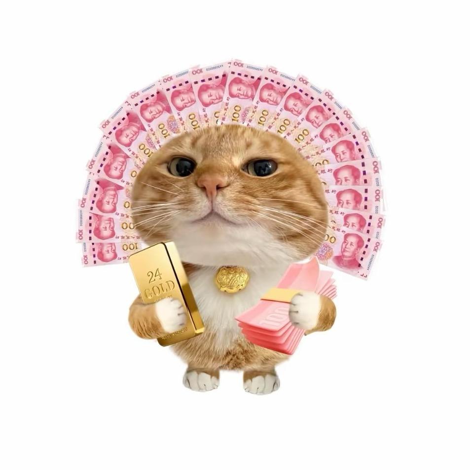 很会花钱的招财猫.