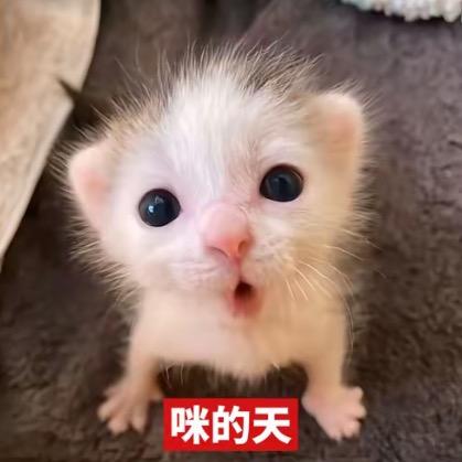 我也不懂