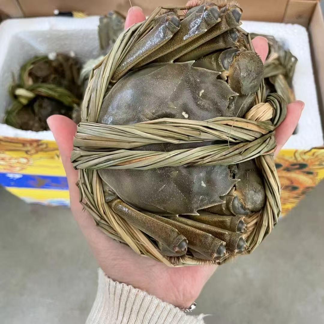 固城湖蟹农小袁