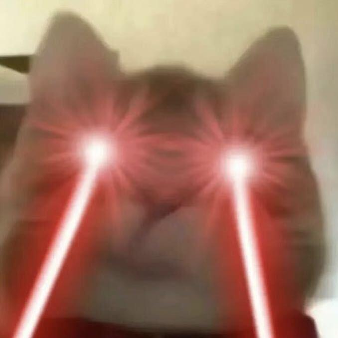嗯嗯