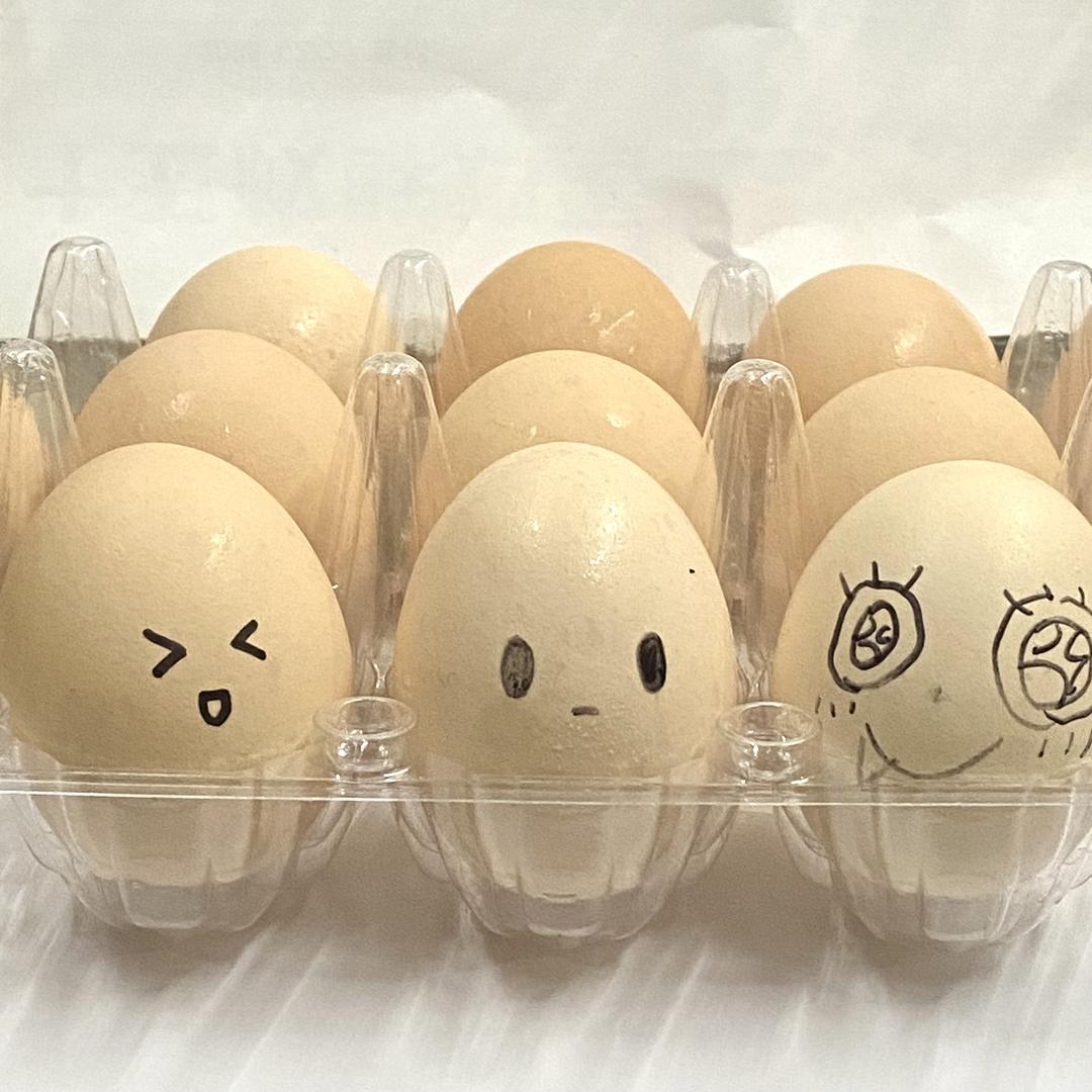 会做饭的鸡蛋