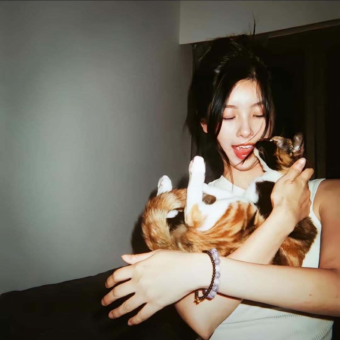不爱回消息