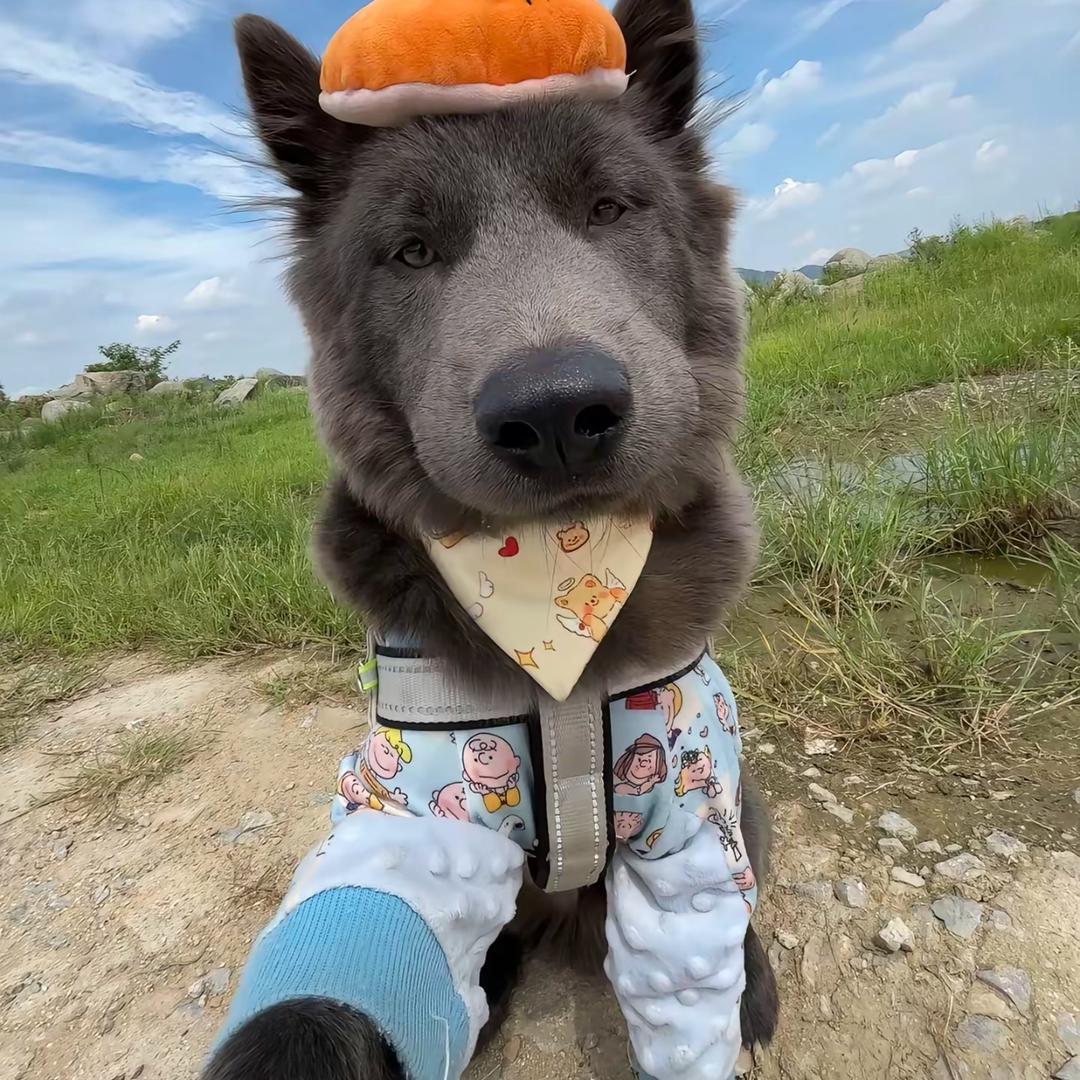 ^_^