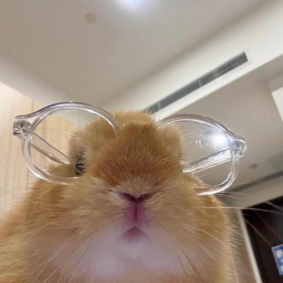 多睡会(见过Songha版