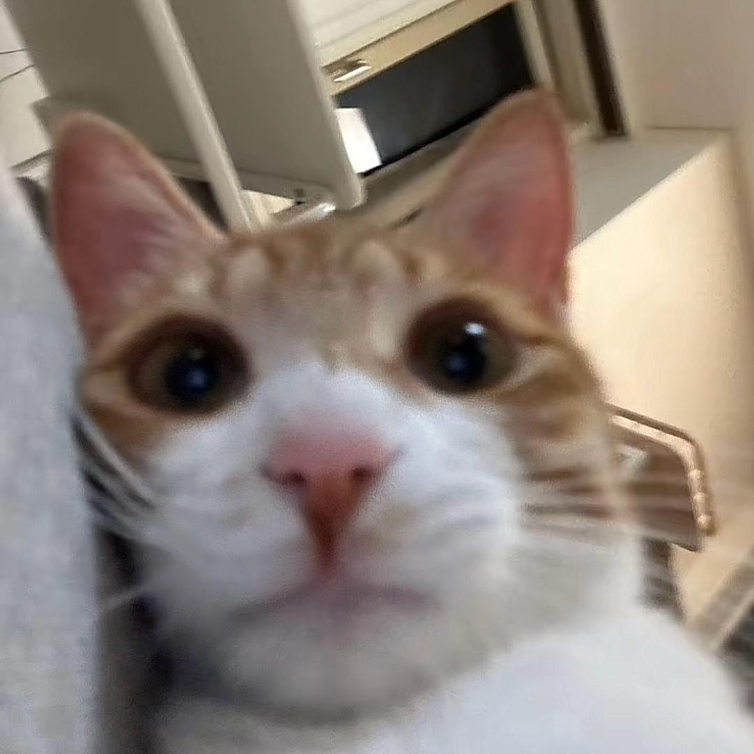小心。