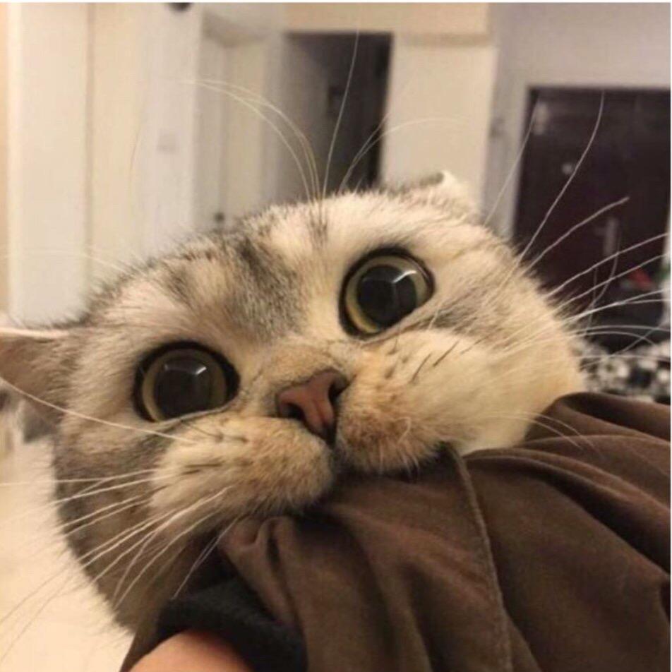 爱吃的大嘴