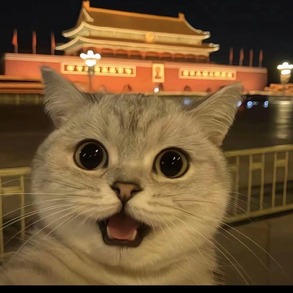 忆安