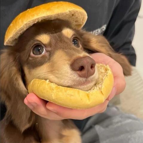 我爱你的方式错了吗