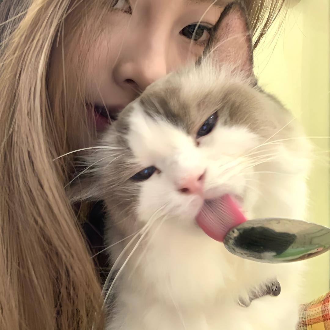 yxinyuee