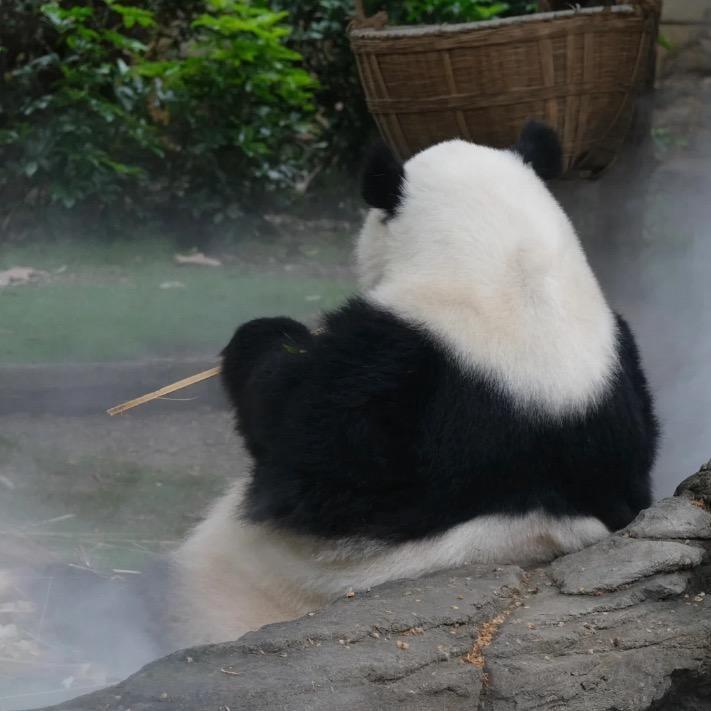 采多多的呀