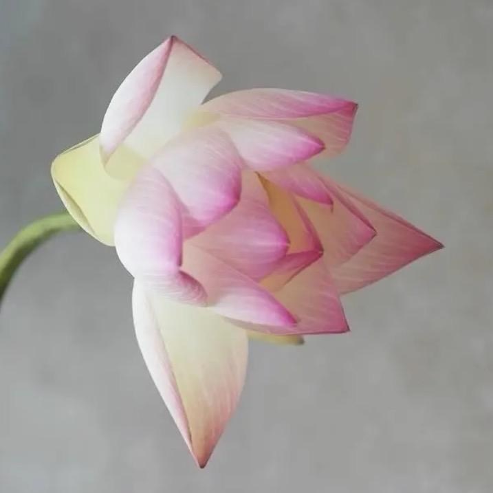 东里·沐莲普拉提瑜伽