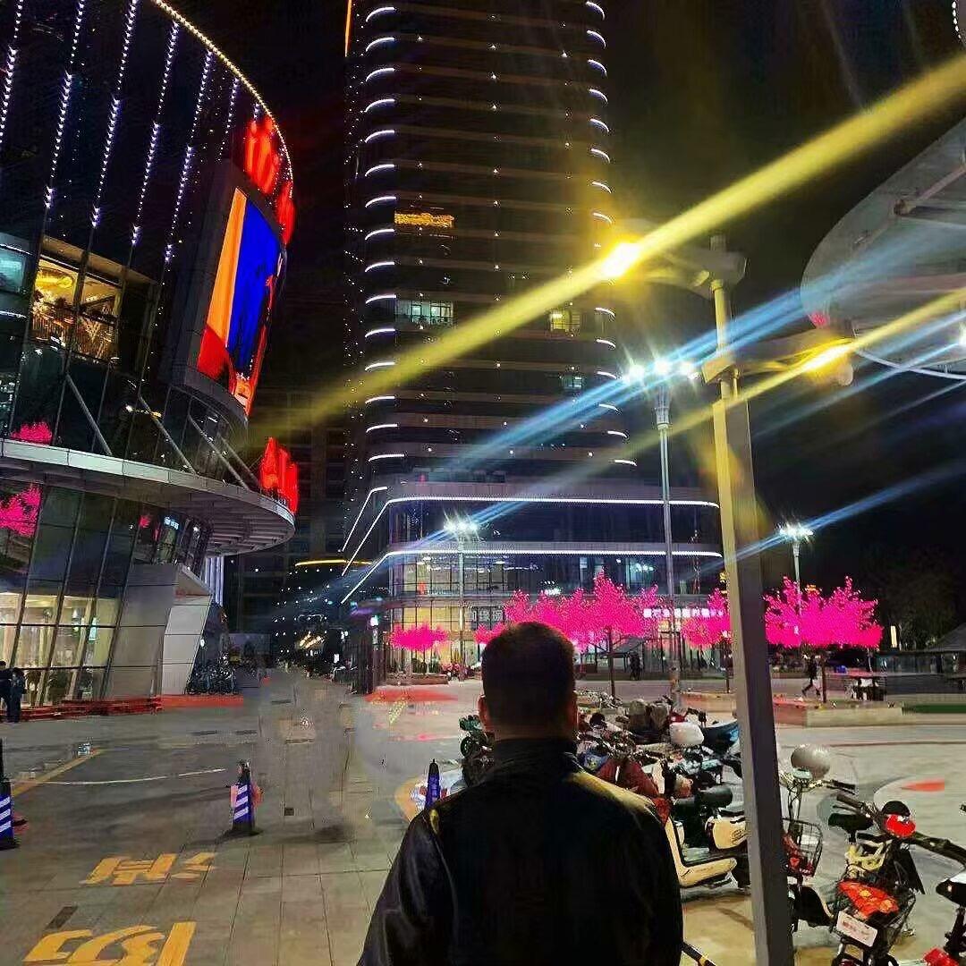 老九他没毛病