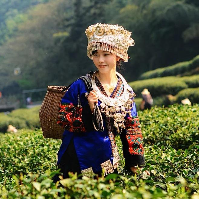 旅行者小辰