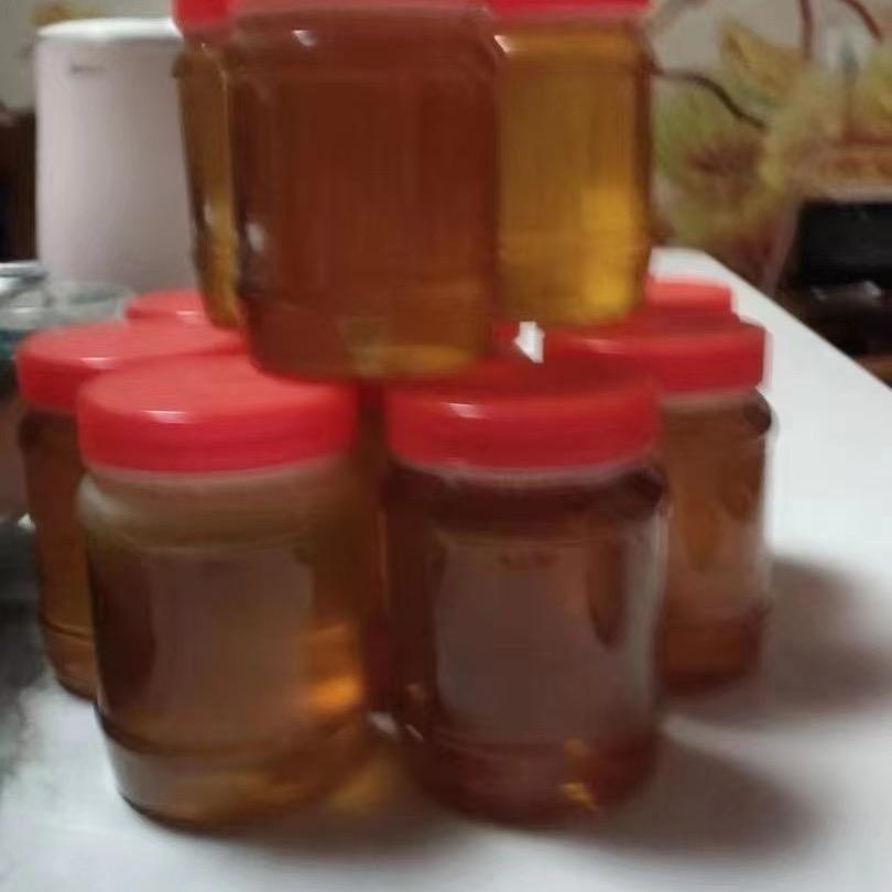 袁来是你