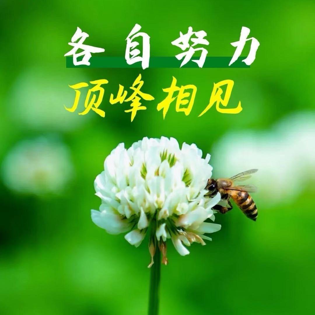 闲鱼