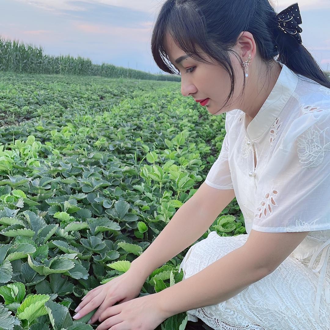 草莓育苗隆盛农业
