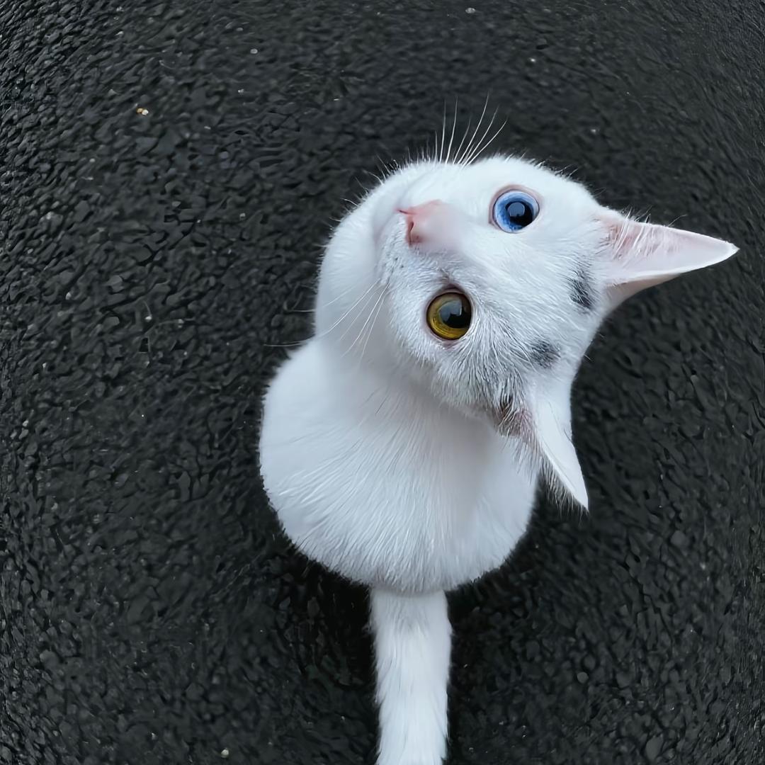 WeIii